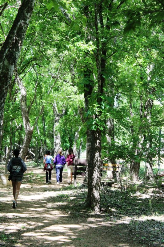 Trails at LBJ State Park