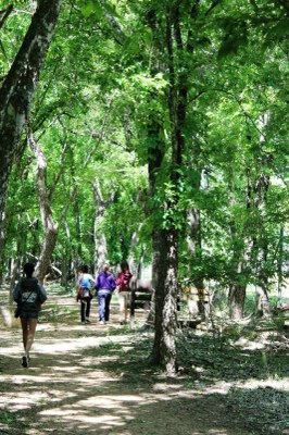 Trails at LBJ State Park