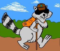 cartoon hiking raccoon