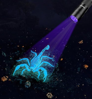 UV Night Hike