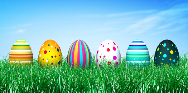 Eggs for plone.jpg