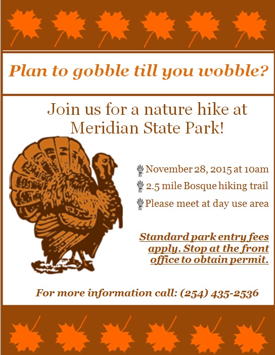 Thanksgiving plone flyer.jpg