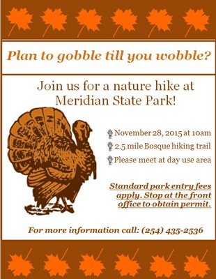 Thanksgiving plone flyer.jpg