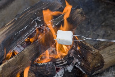 S'mores
