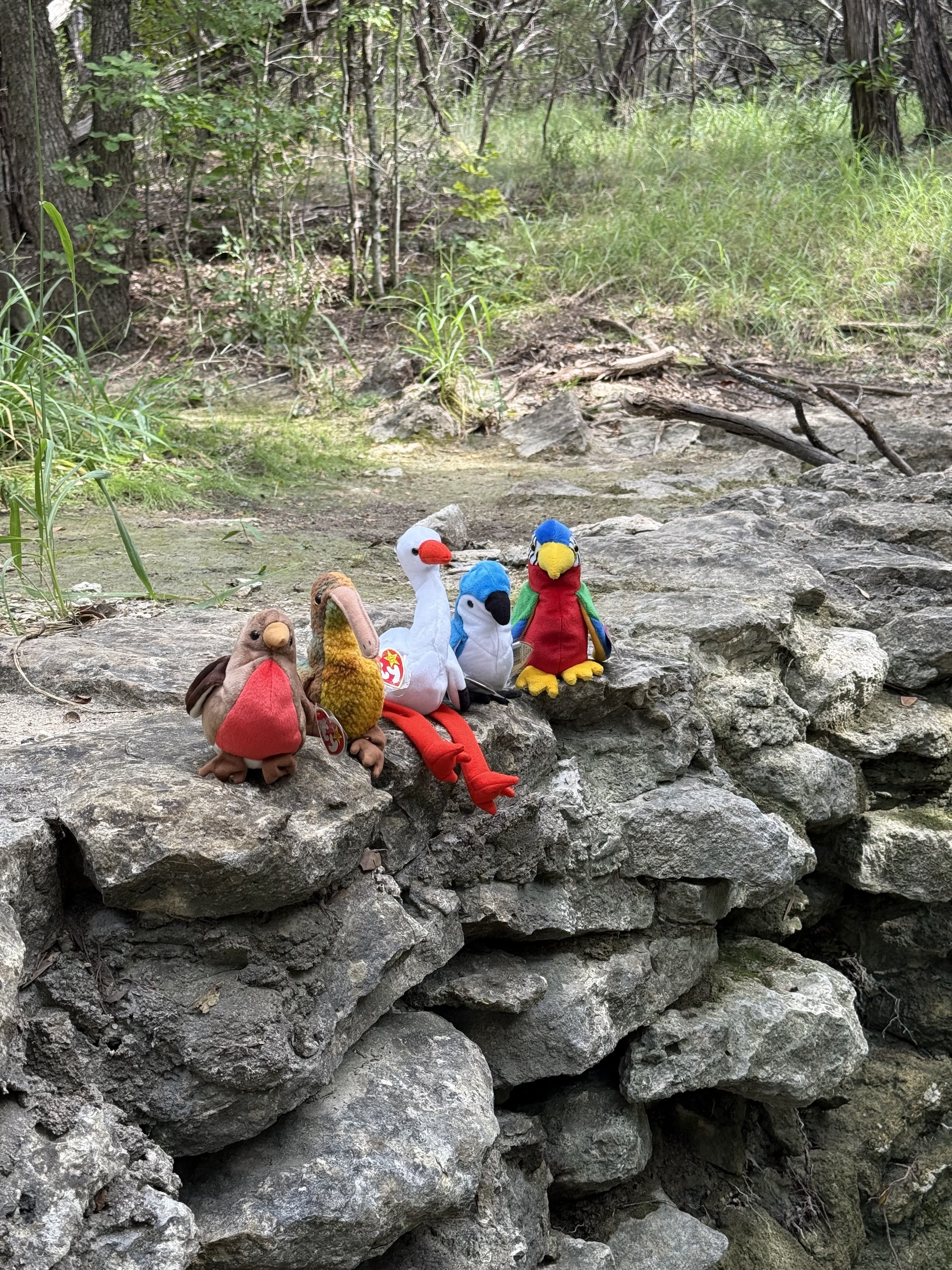 Ty-Spy Birding
