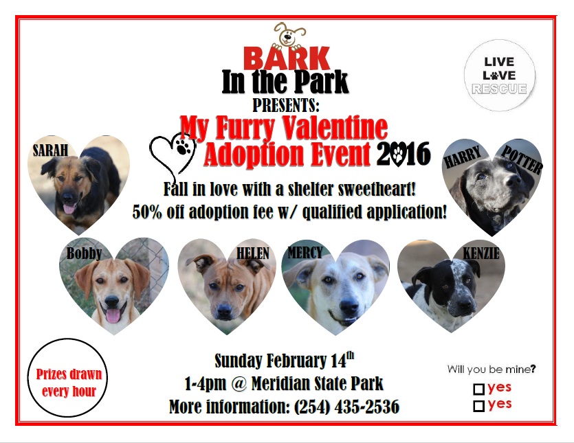 ValentineDogAdoptionPic.jpg
