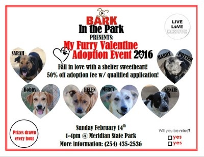 ValentineDogAdoptionPic.jpg