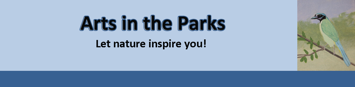 Art in the Park Mission Tejas
