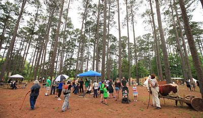 A photo of festival participants walking under the trees