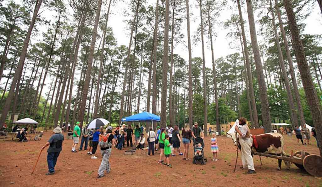 Folk Festival