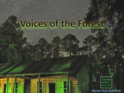 Mission Tejas Voice of the Forest