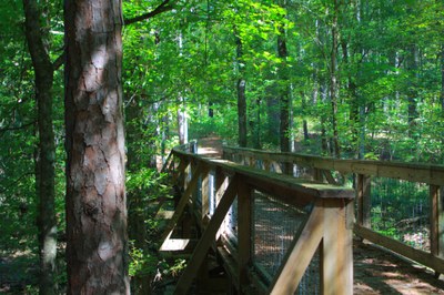 Nature Trail at Mission Tejas