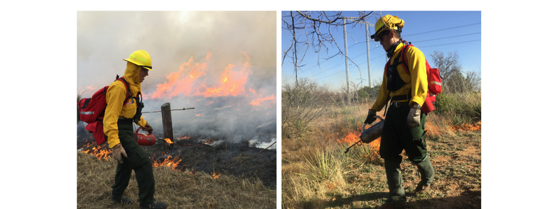 Wildland Firefighter