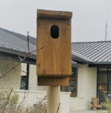 Bird House.png