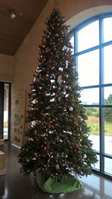Christmas Tree.jpg