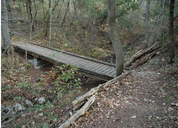 Leaves Bridge.png