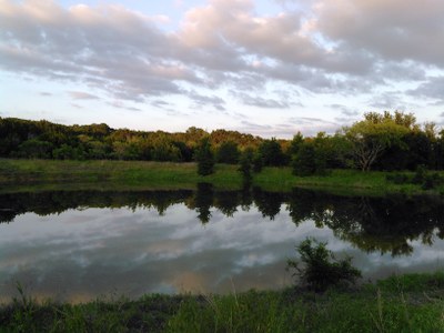 Prairie pond.jpg