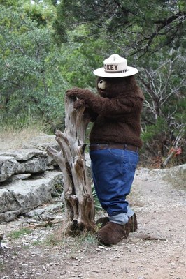 Smokey Bear.jpg