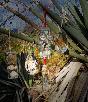 assorted resin shapes with shells hanging on Yucca plant