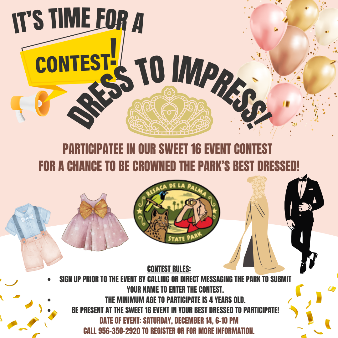 Dress to Impress Contest Flyer.png