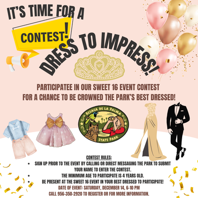 Dress to Impress Contest Flyer.png