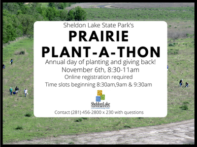 2021 Plant-a-thon Sheldon Lake.png