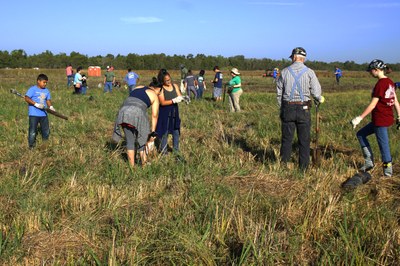 Volunteers planting forbs and grasses.
