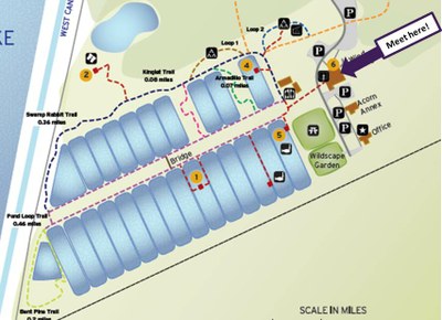 Pond Center Map.jpg
