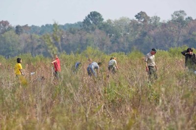 prairie planting.jpg