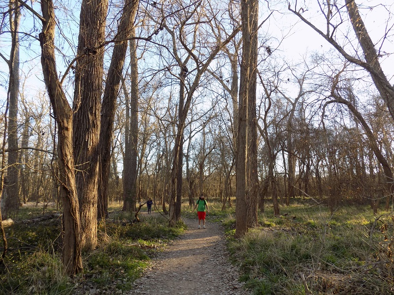 Couple walking in woods