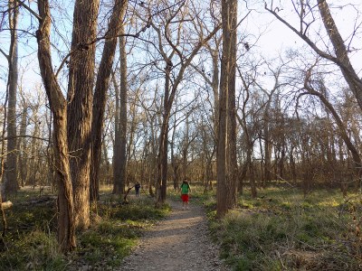 Couple walking in woods