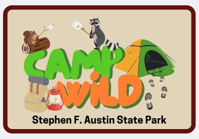 Camp Wild Branding _800pixel.jpg