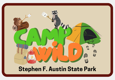Camp Wild Branding PNG.png