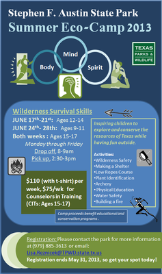 Summer Eco-Camp 2013