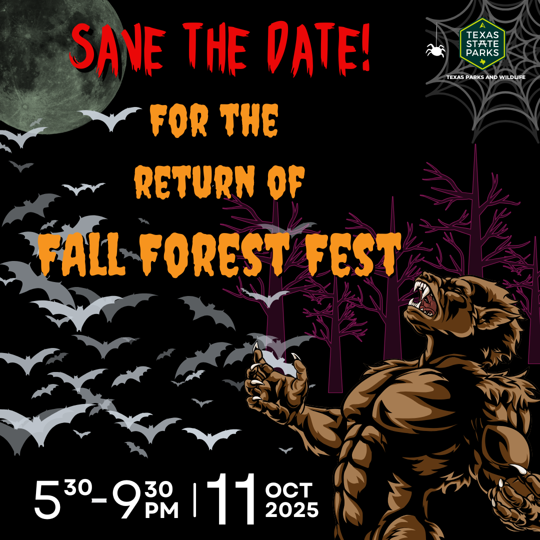 FFF Interanal Save the Date.png