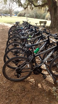 Bikes.jpg