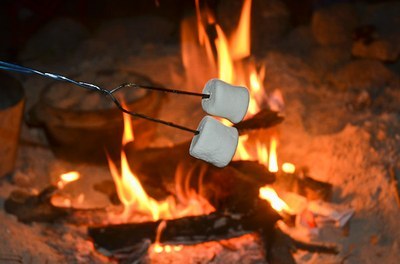 smores.jpeg