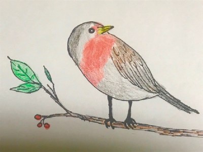 draw a bird