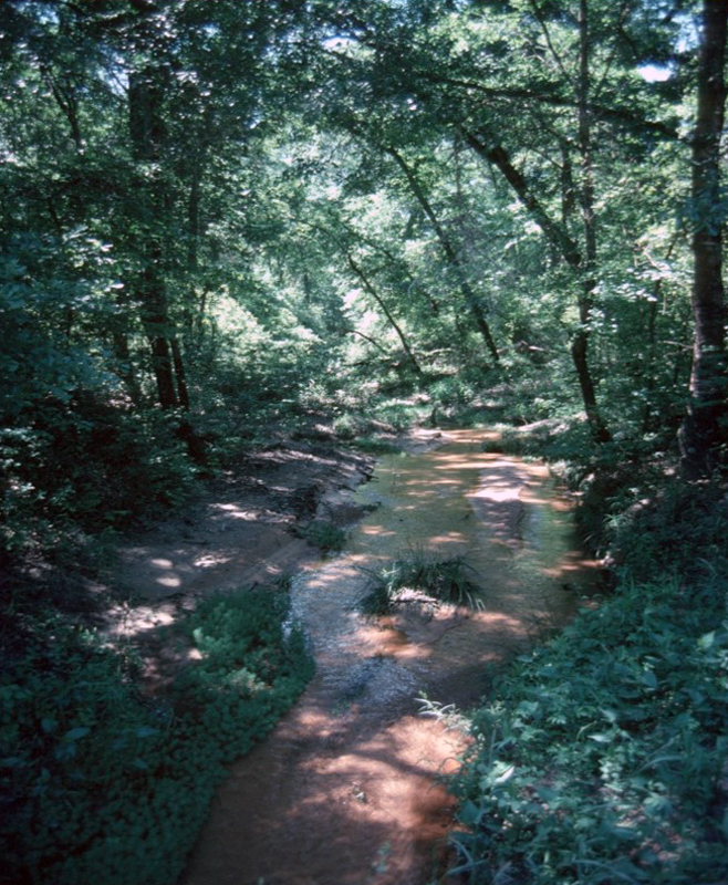 Gus Engeling WMA Habitat Workshops 2016