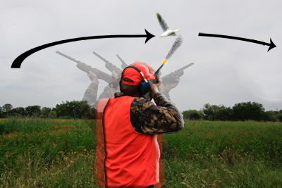 swing arc for wing shooting
