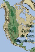 Central Flyway Map