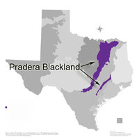 Map of Blackland Prairies