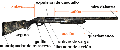 Parts of a Shotgun