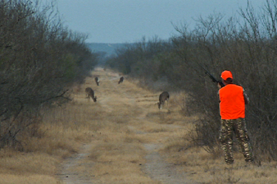 Hunter stalking deer
