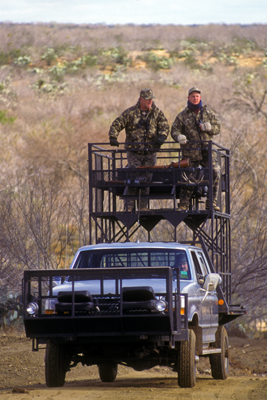 Caza desde espiaderos (blinds) y puestos — Texas Parks & Wildlife Department