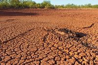 drought stricken, cracked earth