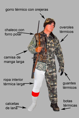 cutaway image of layered clothing