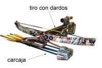 Crossbow front