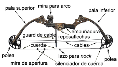 Arco compuesto y arco compuesto de caza