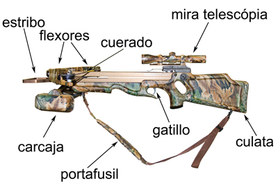 diagram of a crossbow